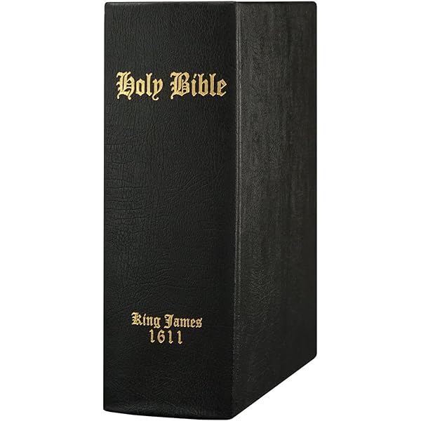 Amazon.com: New Testament Holy Bible - King James Version